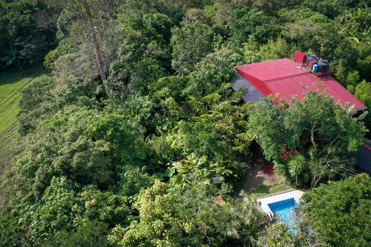 La Boruca Bed and Breakfast San Isidro  Exterior foto