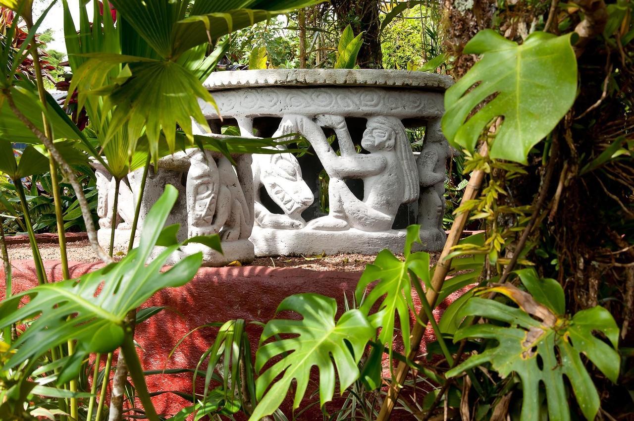 La Boruca Bed and Breakfast San Isidro  Exterior foto